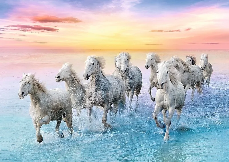 puzzel - 500 stukjes from Trefl, Paarden in galop edition – box