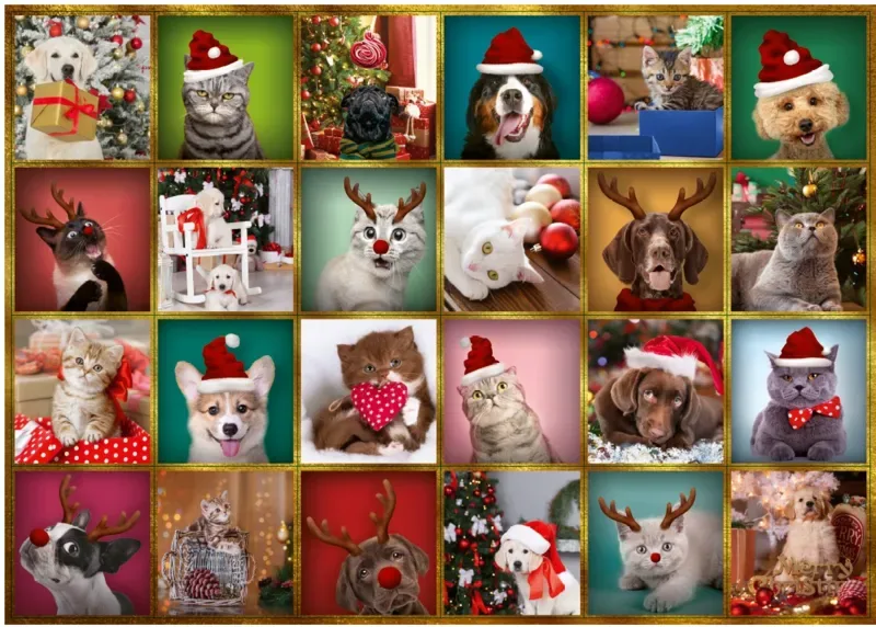 Puzzle Calendrier De L'Avent Animaux - 26 à 50 pièces de Trefl – boîte