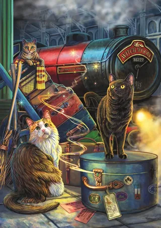 Puzzle Collection Magique : Bois De Sorceau Express - 1000 pièces de Trefl – boîte 1 sur 2