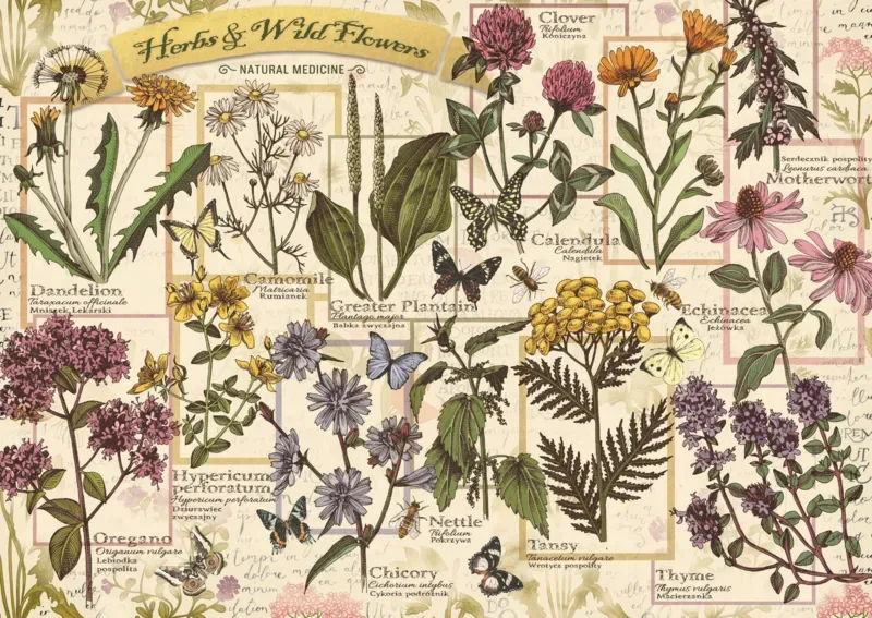 Puzzle Herbier : Herbes Médicinales - 500 à 999 pièces de Trefl – boîte