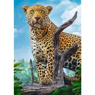 Puzzle Léopard - 500 à 999 pièces van Trefl – doos 1 van 2