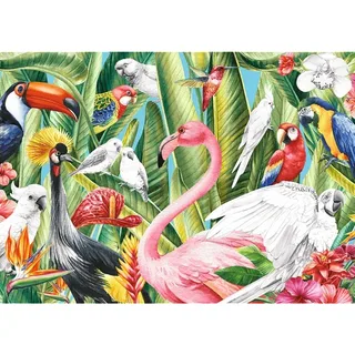 Puzzle Puzzle Creative - Oiseaux Du Paradis - 500 à 999 pièces van Trefl – doos 1 van 2